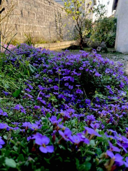 Le Ni' De Jess Villa Migennes Kültér fotó